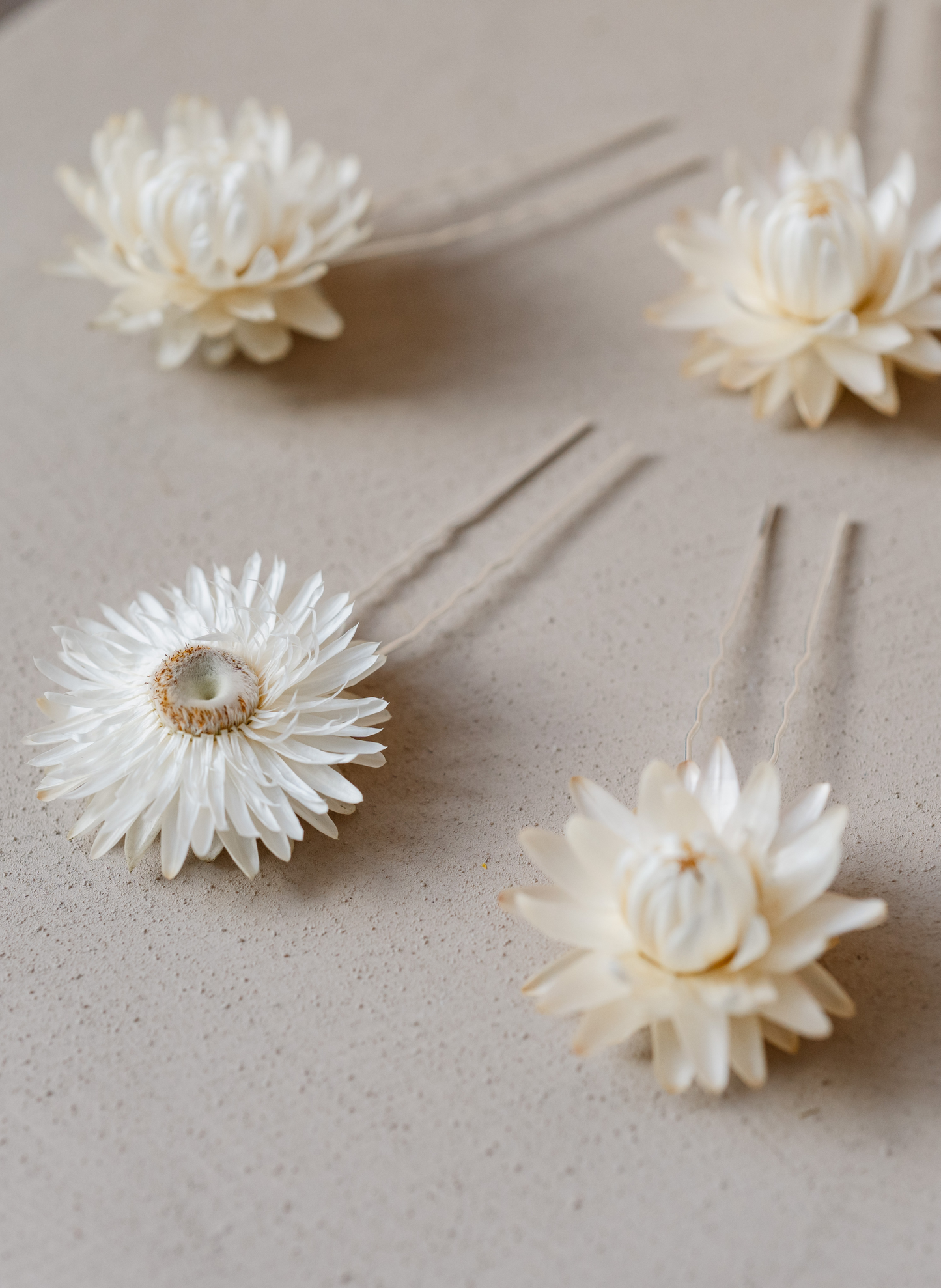 Pippa Dried Straw Flower Helichrysum Wedding Bridal Hair Pins 2