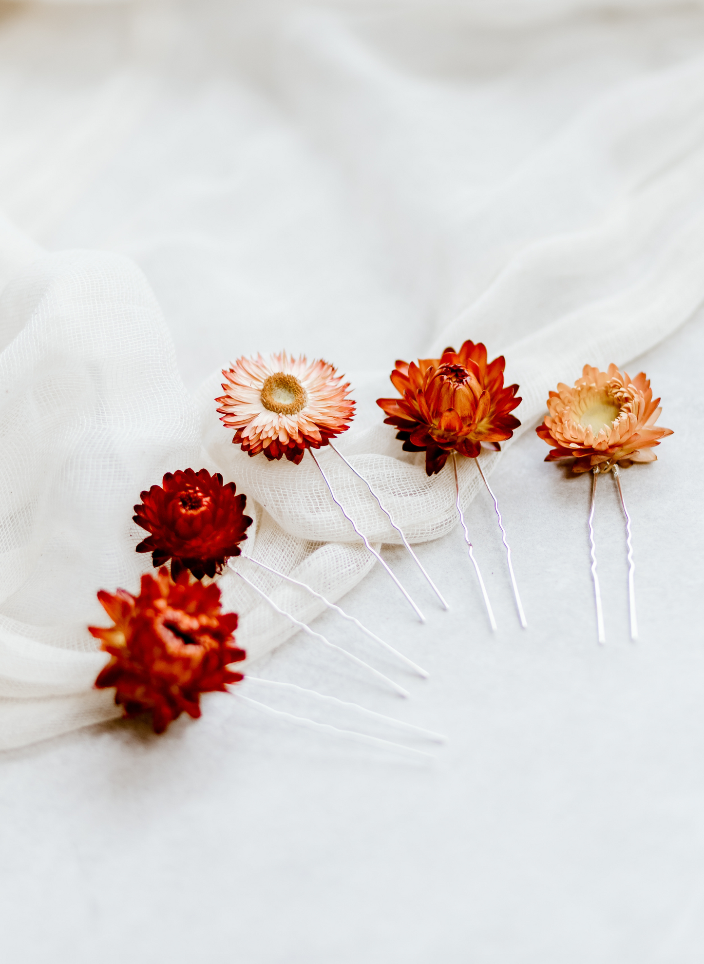 Pippa Dried Straw Flower Helichrysum Wedding Bridal Hair Pins 3